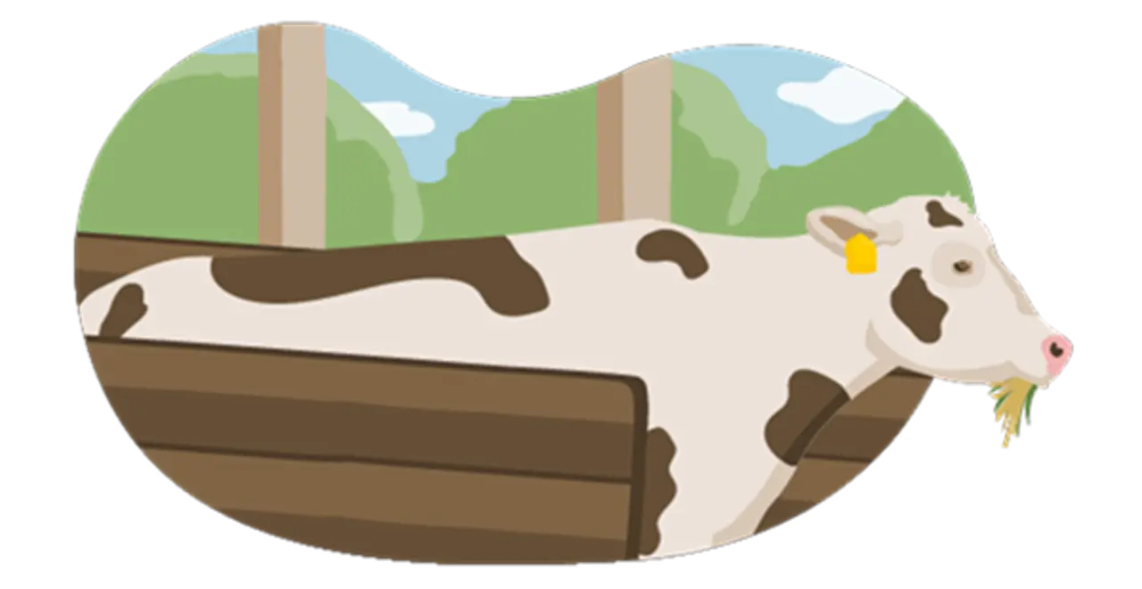 Die Illustration zeigt ein Rind, das nach den Vorgaben der Haltungsstufe 3 gehalten wird: Es hat mehr Platz im Stall als bei Haltungsstufe 1 und 2. Durch die offene Seite des Stalls sieht man den Himmel und Bäume. Das Rind kaut gentechnikfreies Futter.