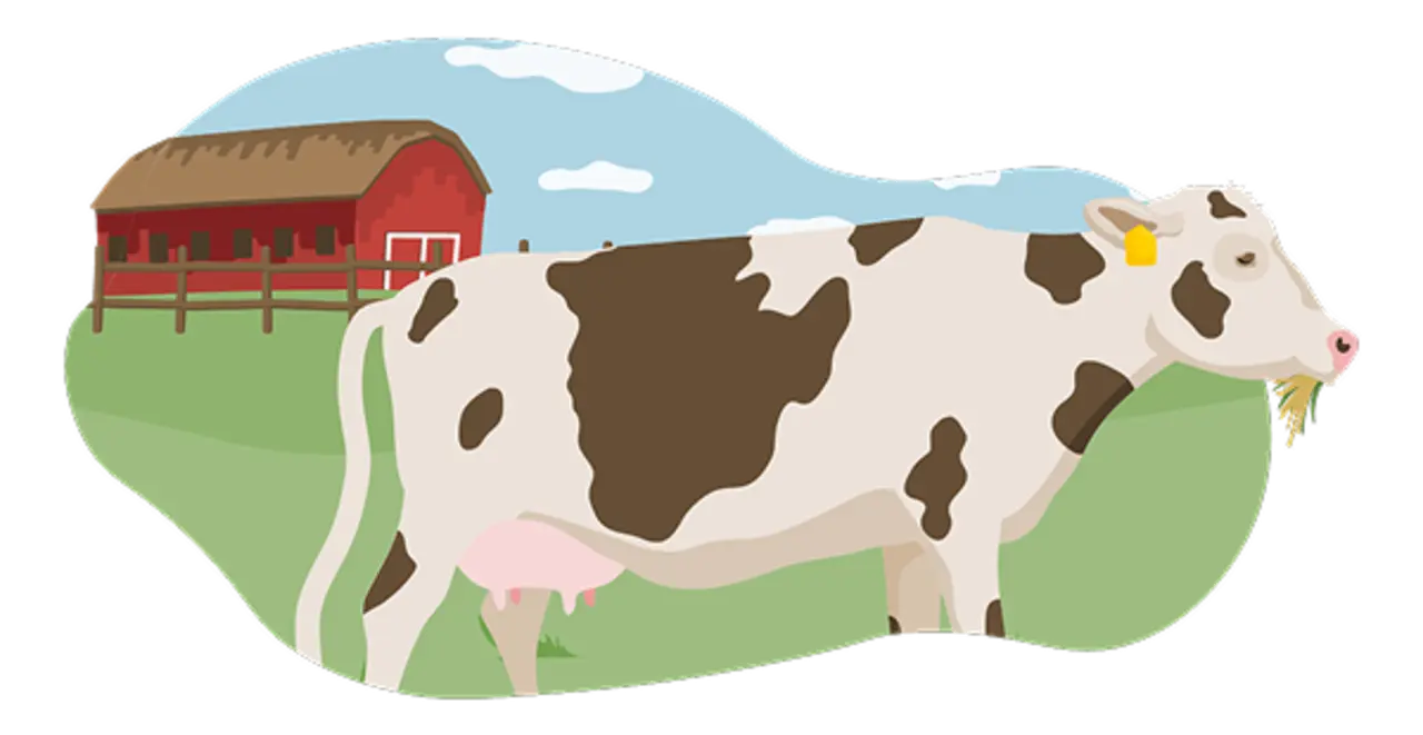 Die Illustration zeigt ein Rind, das nach den Vorgaben der Haltungsstufe 5 gehalten wird. Diese entspricht ausschließlich Bio-Haltung. Das Rind steht auf der Weide. Im Hintergrund ist der Stall zu sehen. 