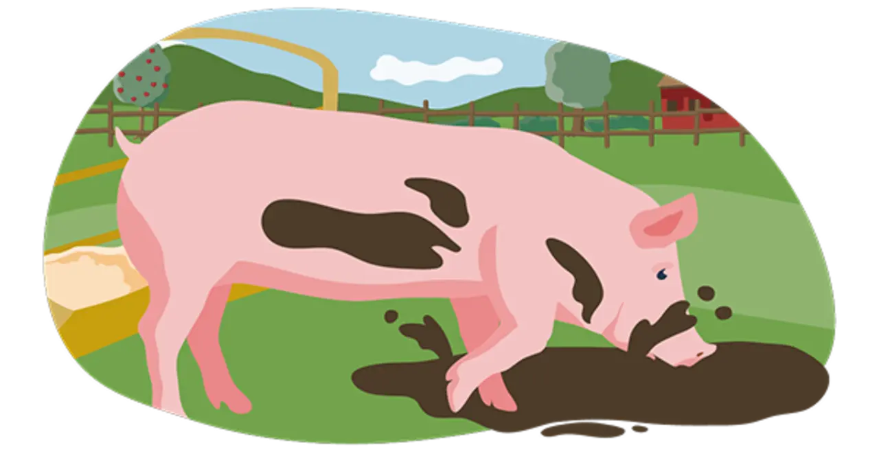Ein illustriertes Schwein in Bio-Haltung. Es wühlt auf einer Wiese im Matsch. Die Bedingungen entsprechen den Vorgaben der Haltungsstufe 5.