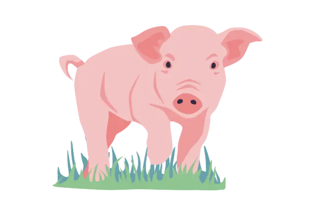 Ein kleines, illustriertes Schwein.