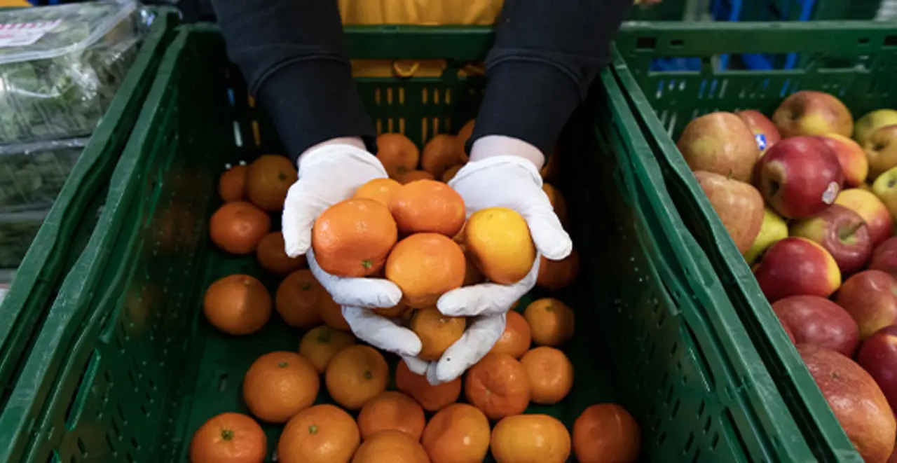Zwei Hände heben mehrere Mandarinen aus einer Kiste um sie zu verteilen.