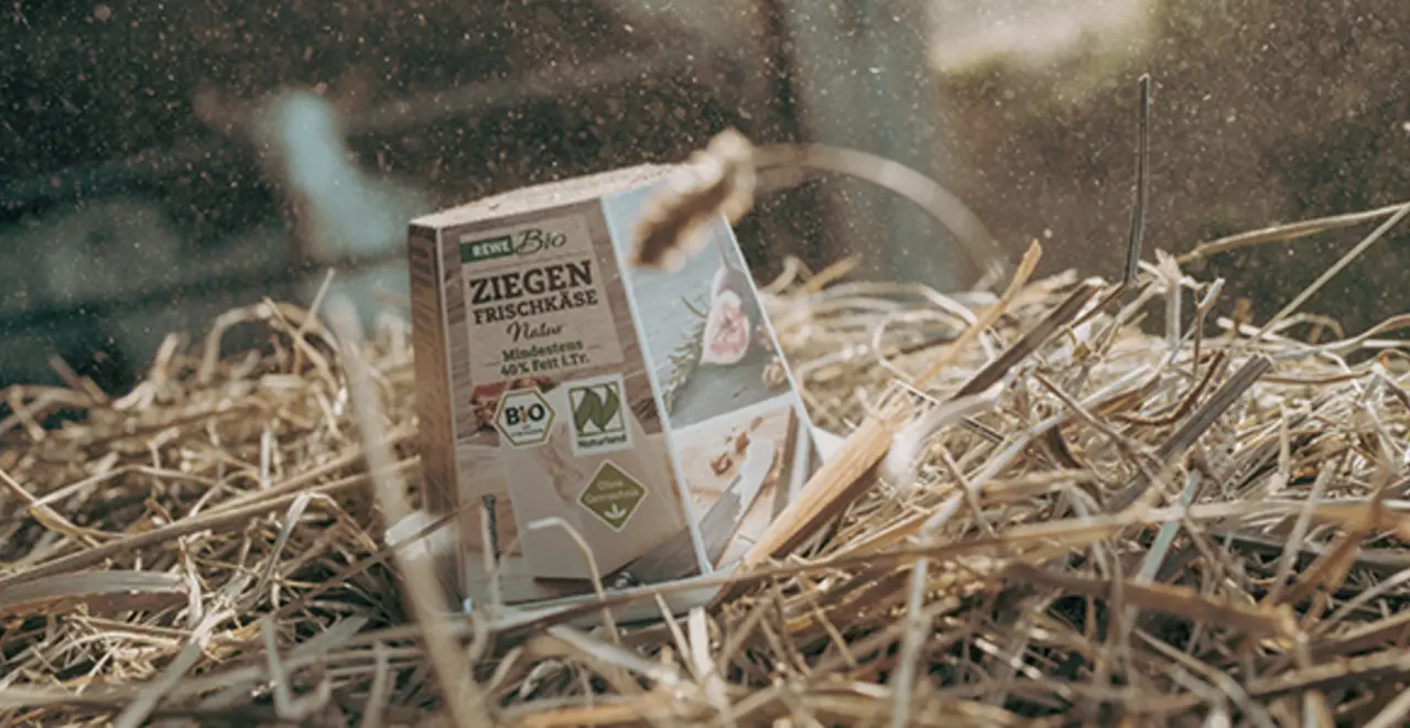 Der REWE Bio Ziegenfrischkäse steht im sonnendurchfluteten Stall.