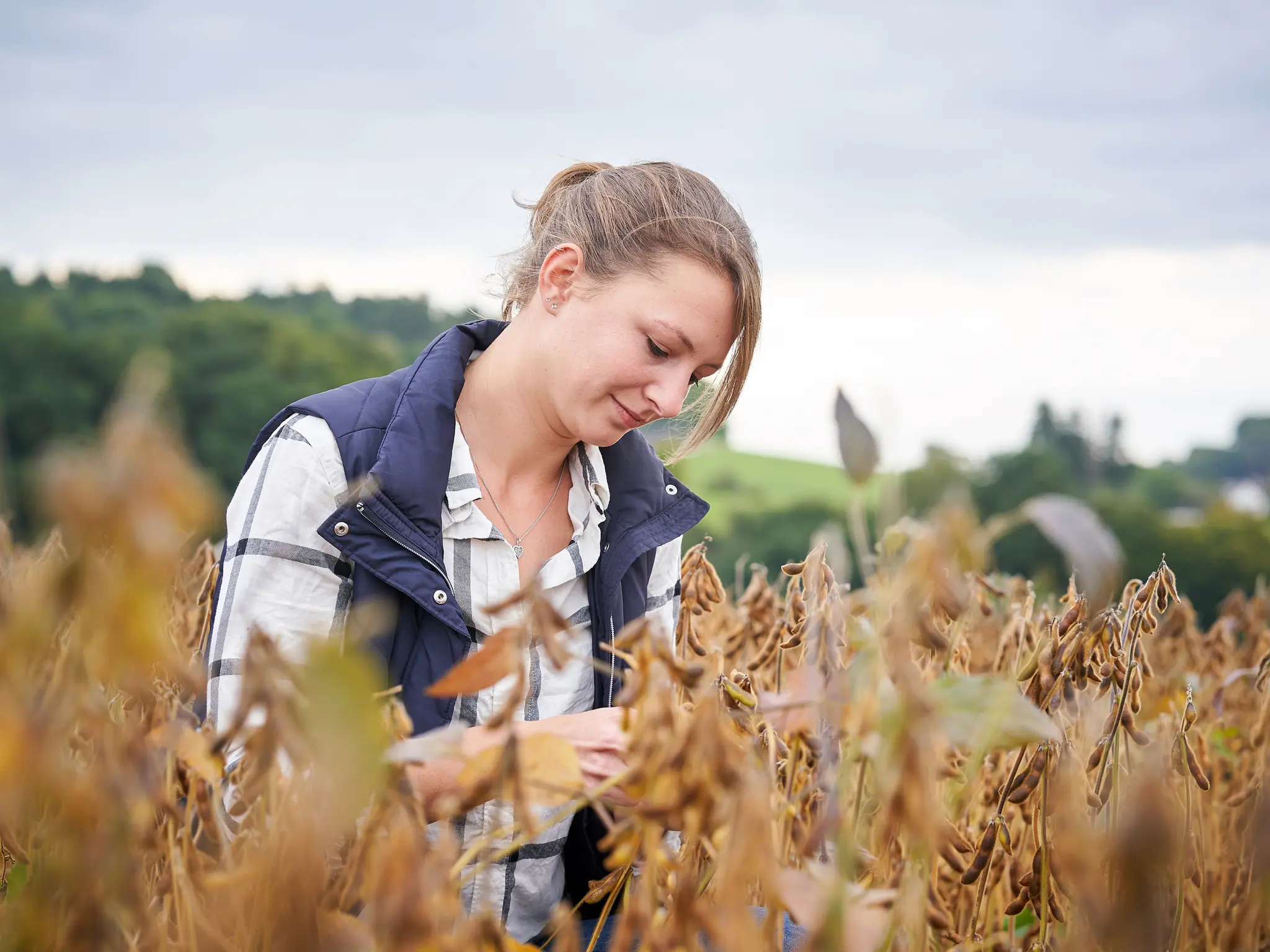 Naturland Landwirtin Anna Hefele steht zwischen schulterhohen Soja-Pflanzen. Sie befreit das Feld per Hand von Unkraut.