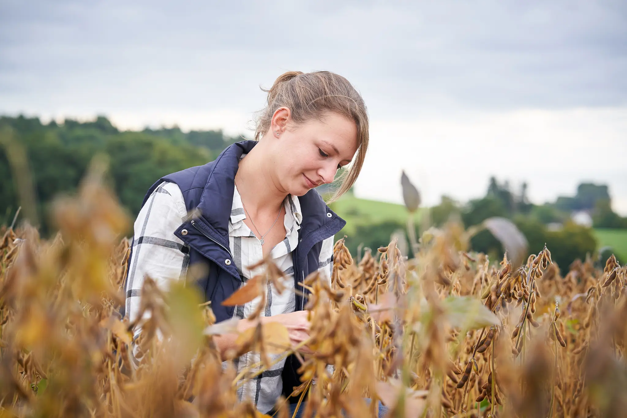 Naturland Landwirtin Anna Hefele steht zwischen schulterhohen Soja-Pflanzen. Sie befreit das Feld per Hand von Unkraut. 