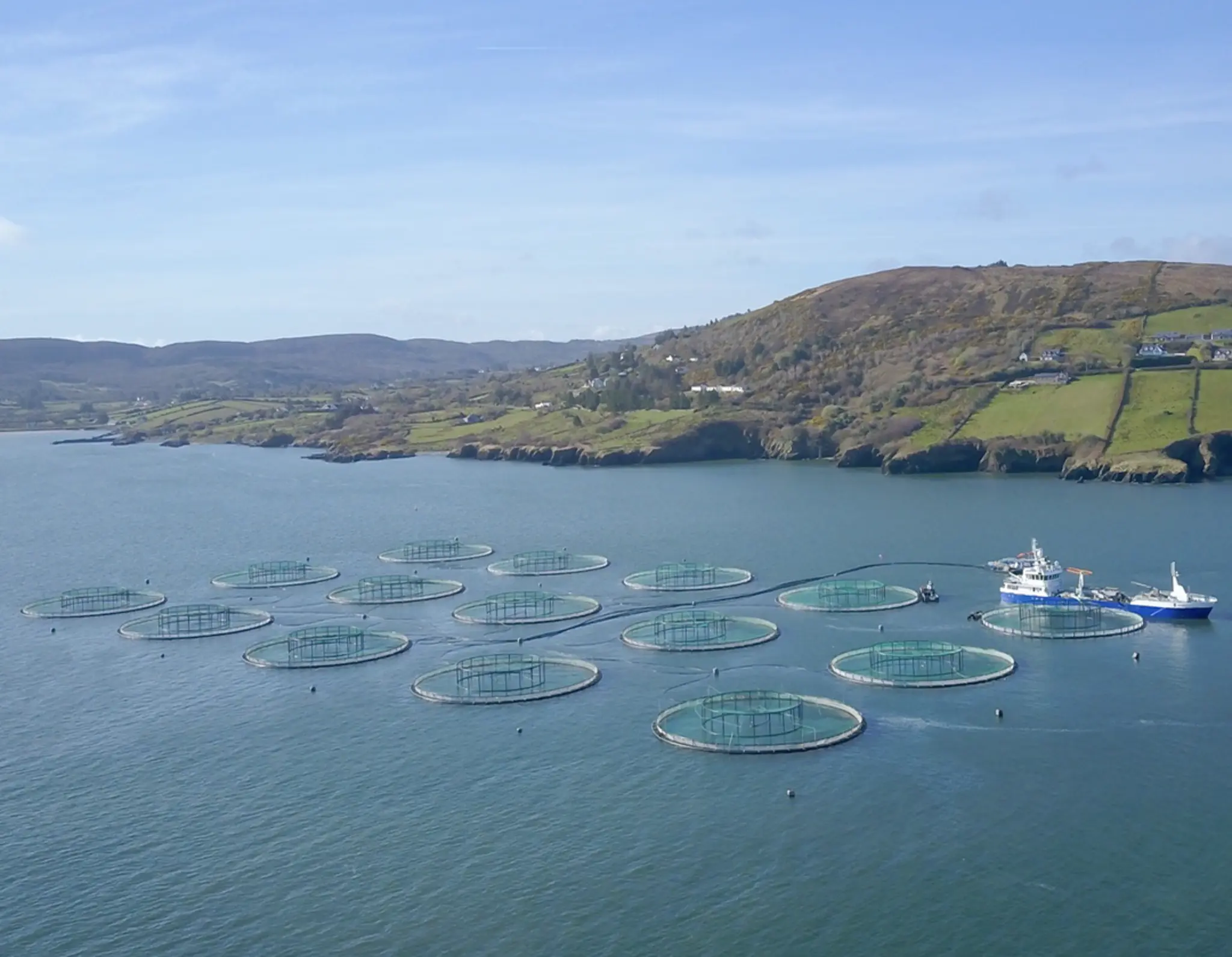 Eine Bio-Lachsfarm in Irland.  