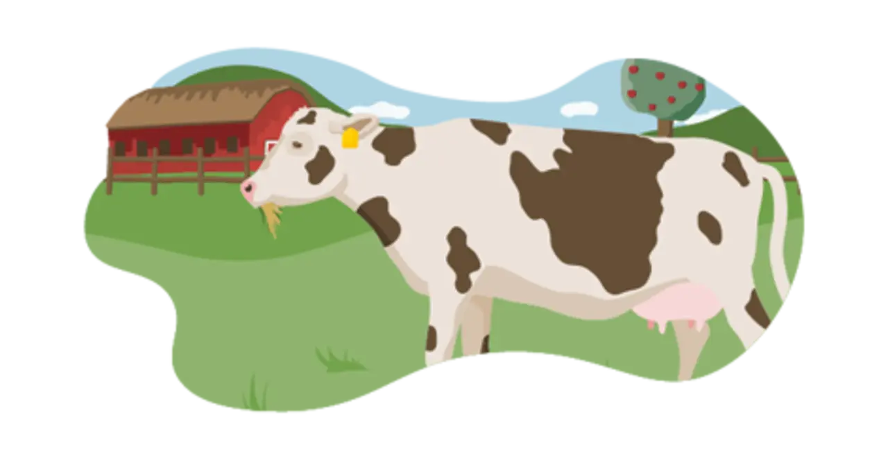 Ein illustriertes Bio-Rind beim Weidegang. 