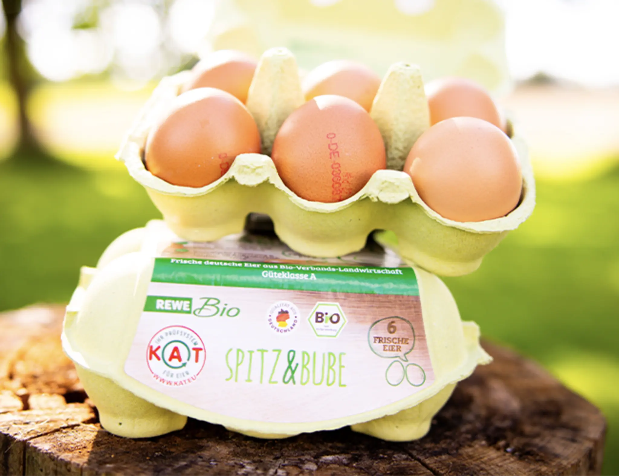 Zwei Packungen REWE Bio Spitz & Bube Eier auf einem Baumstamm.