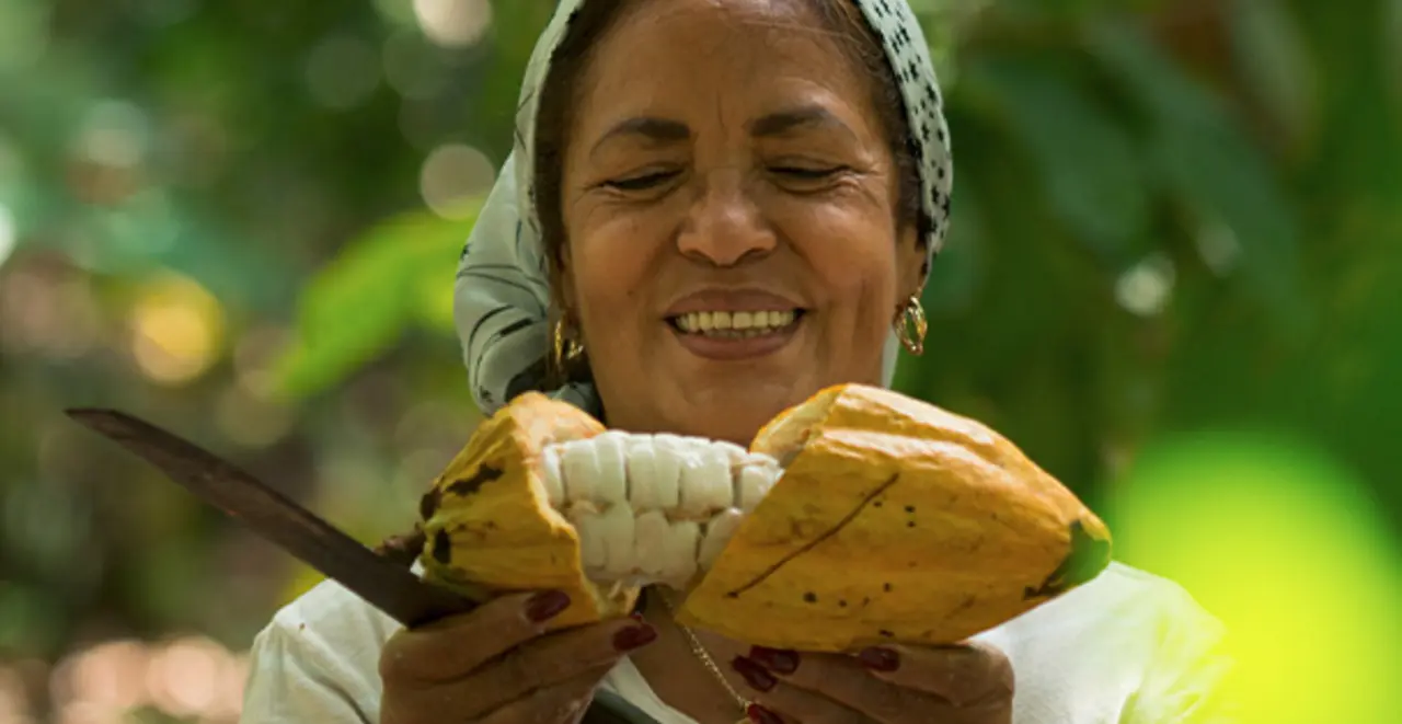 Eine Arbeiterin öffnet eine Kakaoschote mit einem scharfen Messer. 