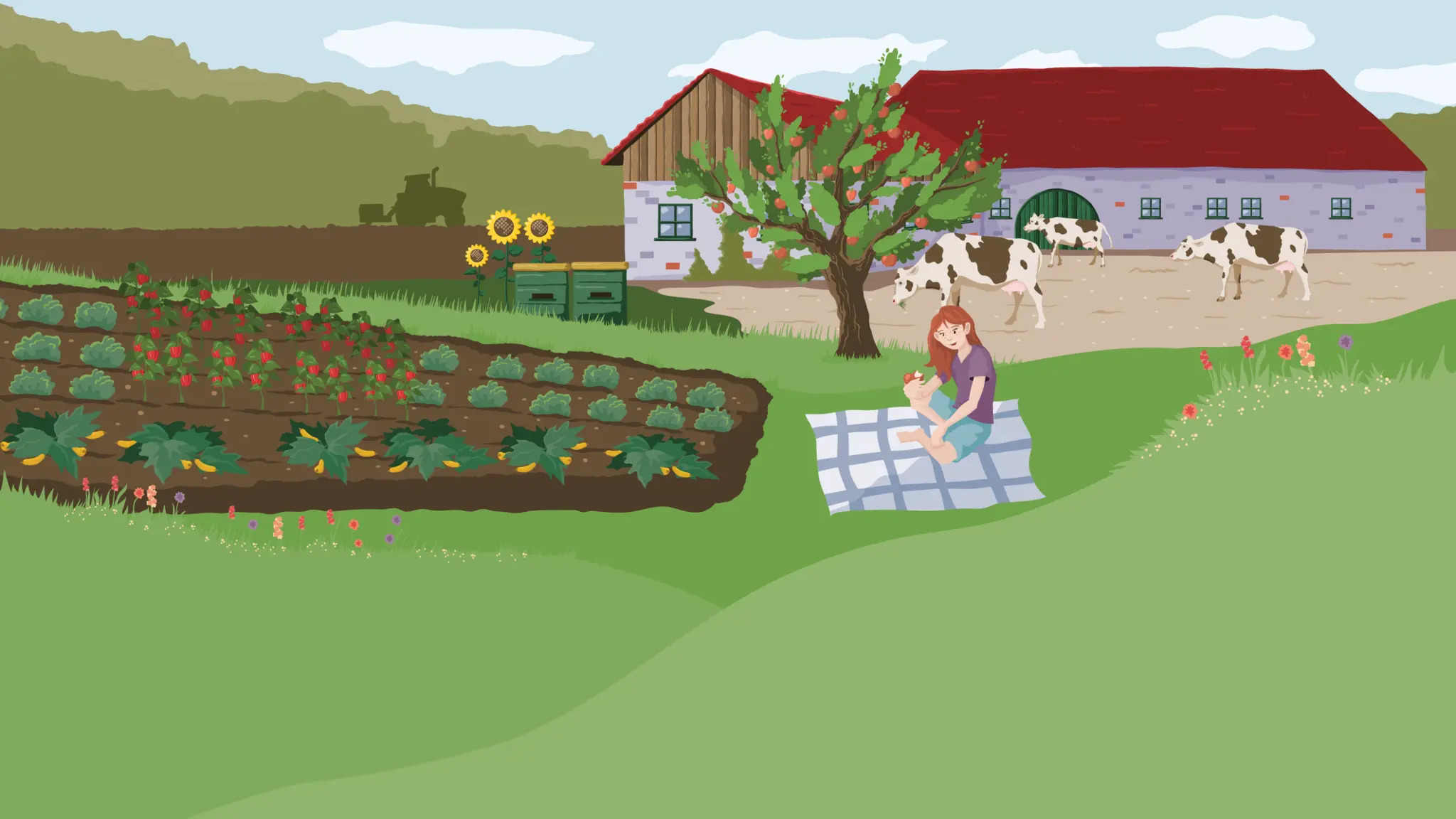 Die Illustration zeigt einen Bio-Bauernhof. Sie verdeutlich, wie die einzelnen REWE Bio Vorteile auf diesem beispielhaften Betrieb umgesetzt werden.