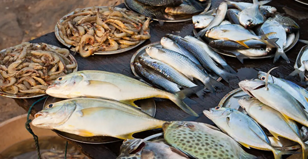 Ein Tisch mit frischem Fisch und Meeresfrüchten auf Tabletts eines Markttandes.